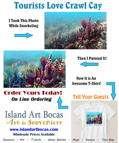 Crawl Cay Snorkeling- Bocas Del Toro, Panama -Island Art Bocas 